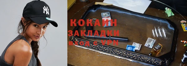 кокс Арсеньев