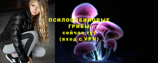 сатива Армянск
