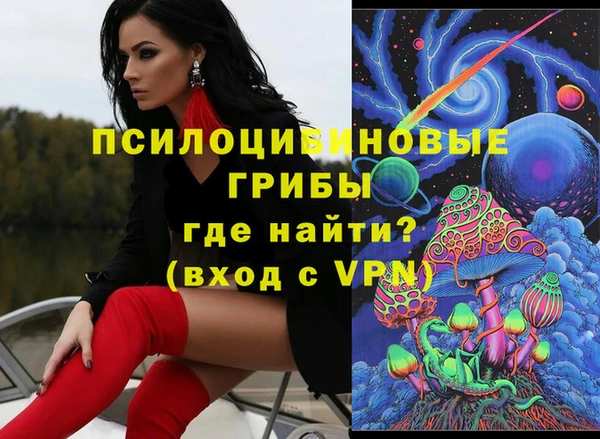 кокс Арсеньев