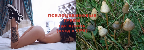 кокс Арсеньев