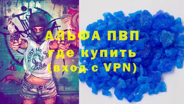 сатива Армянск