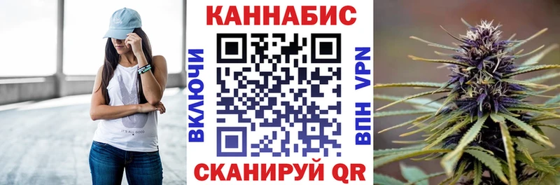 как найти закладки  Нововоронеж  Конопля ГИДРОПОН 